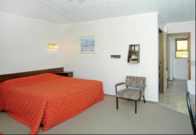 Ace High Motor Inn Napier Dış mekan fotoğraf
